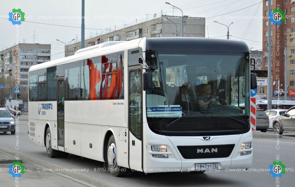 MAN Lion`s Intercity C R61 (без полосы) (полный обогрев) Размер 2779*1481 (2016 год)